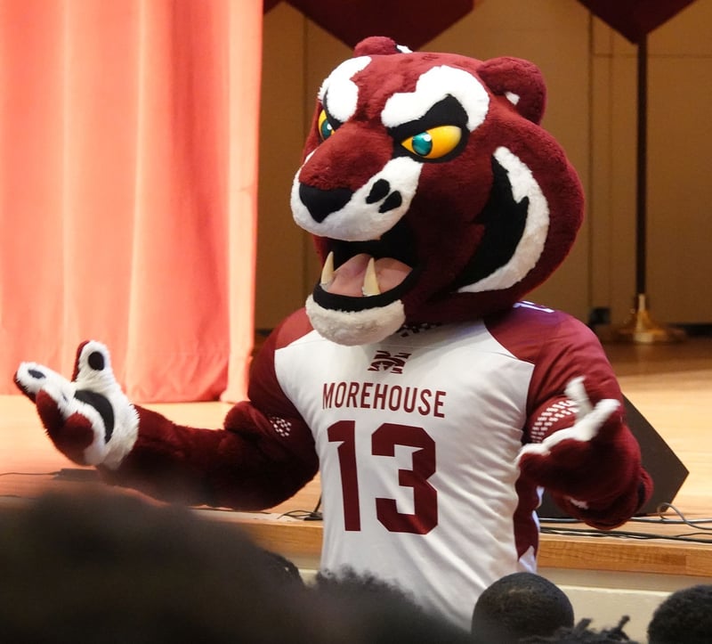 2025NSO175 mascot